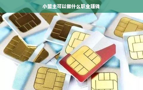 小盟主可以做什么职业赚钱