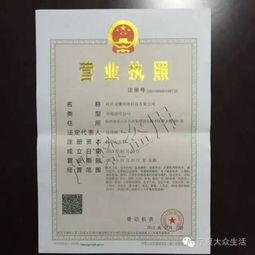 桃多多桃享卡额度提现攻略，商家如何最大化利用总额度？