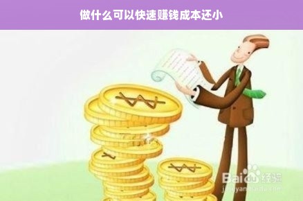 做什么可以快速赚钱成本还小