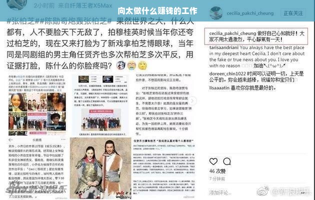 向太做什么赚钱的工作