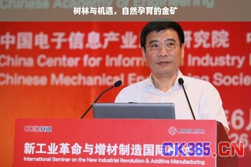 分期乐如何查看提现记录—详细教程与案例解析