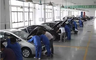 天津早教加盟投入大吗？全面解析给您听