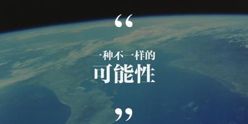 前世做什么生意最好赚钱，透过迷雾的商业镜鉴
