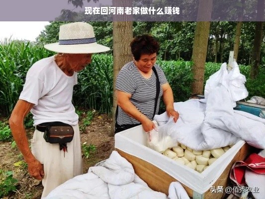 牡丹江早教加盟需要多少钱？全面解读加盟成本与费用