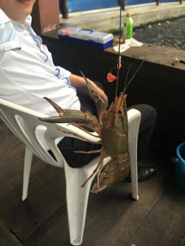 羊小咩便荔卡额度怎么套出来？羊小咩便荔卡额度范围及套现方法大揭秘