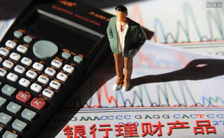 商务赚钱好买卖，紧跟市场趋势，创造盈利机遇