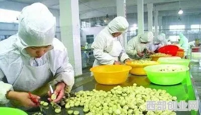 在老家开厂创业，选择项目与市场调研是关键