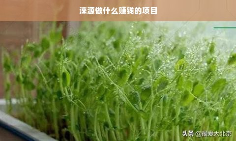 涞源做什么赚钱的项目