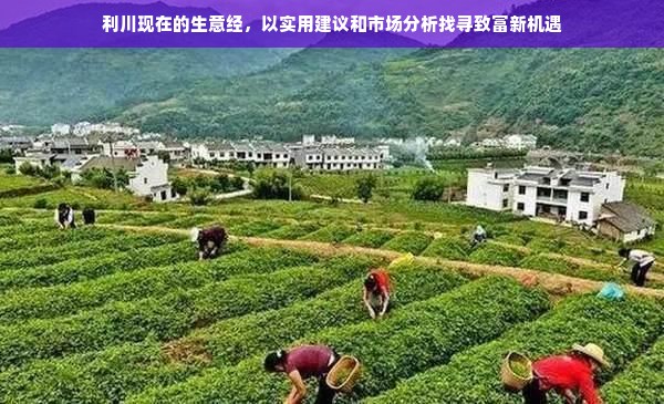 郑州流产医药品牌深度解析