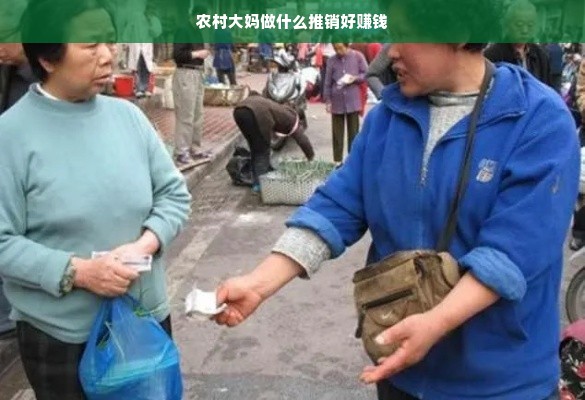 农村大妈做什么推销好赚钱