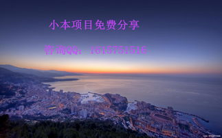 在哪可以羊小咩便荔卡套出来？全面解析你的需求！