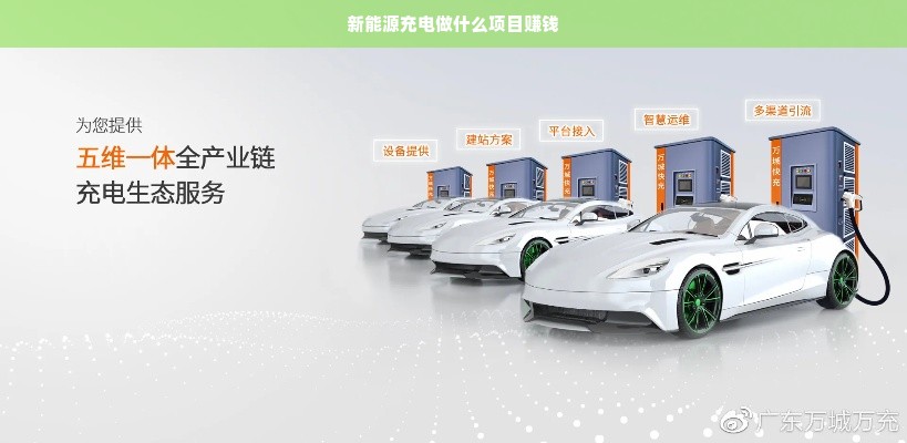 新能源充电做什么项目赚钱