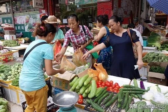 做什么生意无淡季卖菜赚钱