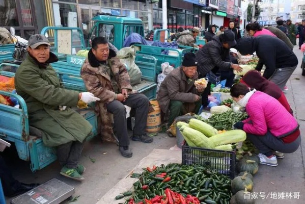 做什么生意无淡季卖菜赚钱