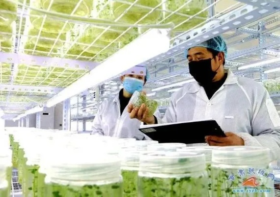 母婴品牌孵化基地，打造母婴产业的摇篮