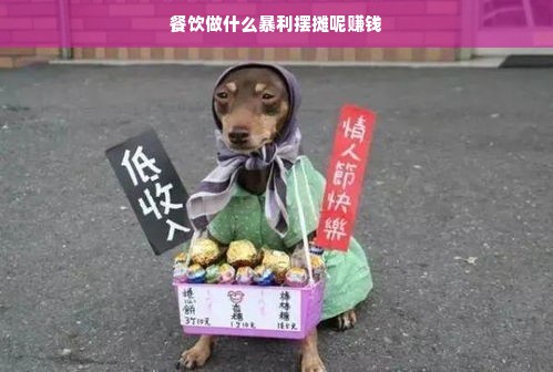 选择盈利餐摊，分析、决策与实践策略