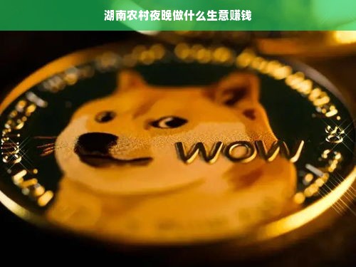 湖南农村夜晚做什么生意赚钱