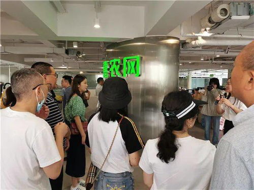 湖南农村夜晚做什么生意赚钱