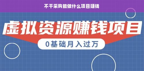 不干采购能做什么项目赚钱