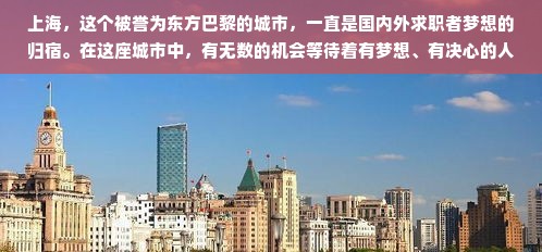 上海小白职场发展指南，选对领域，成就梦想