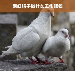 微信分付额度提现商家攻略，如何快速提升微信分付额度？