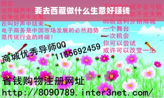 西藏商机，探索旅游、健康、生态与文创产业潜力