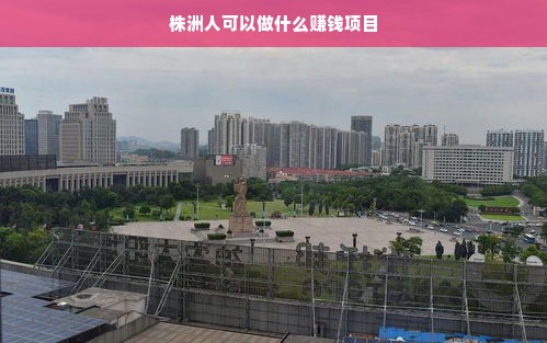 株洲人可以做什么赚钱项目
