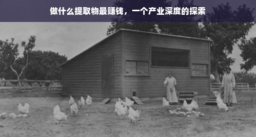 做什么提取物最赚钱，一个产业深度的探索