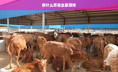 做什么养殖业最赚钱
