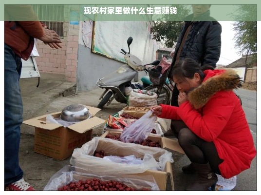 农村创业新机遇，多元生意赚钱路