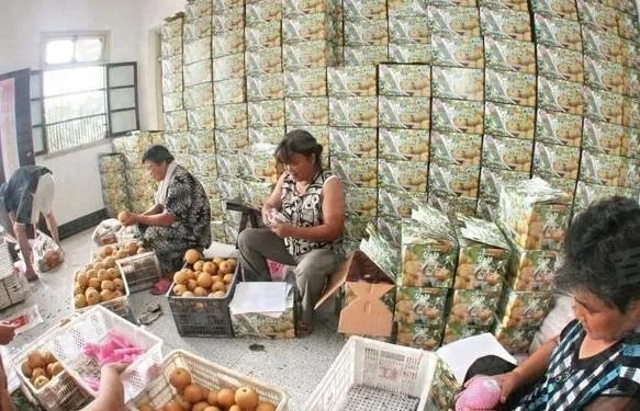 童装品牌创新突围指南，如何用会呼吸的穿搭抢占Z世代父母心智？