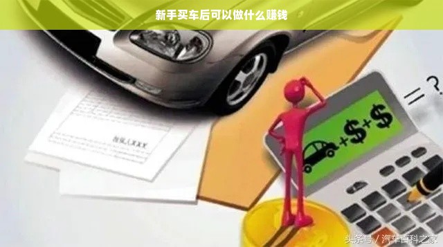 新手买车后可以做什么赚钱