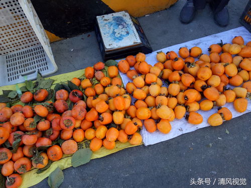 春节必备佳品！盘点2024年春节热销茶叶品牌及推荐