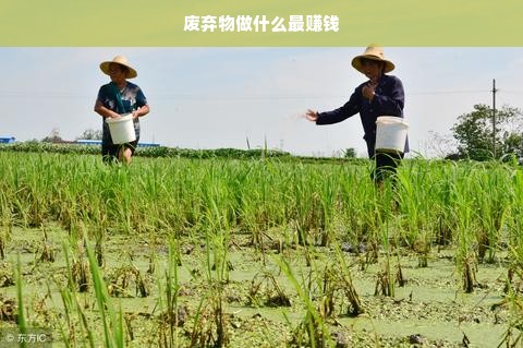 废弃物做什么最赚钱