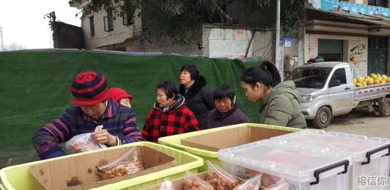 想回老家做什么生意赚钱
