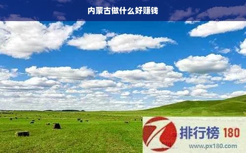 内蒙古做什么好赚钱