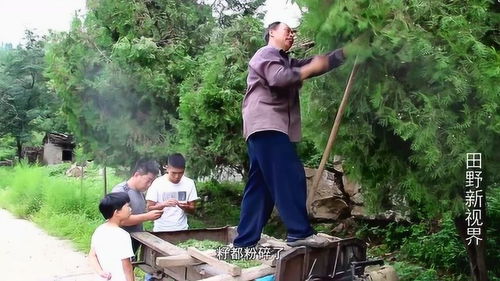 农村带孩子创业，多种模式与盈利策略探讨