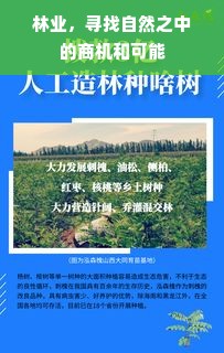 林业，寻找自然之中的商机和可能