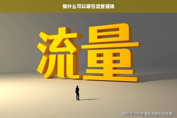做什么可以吸引流量赚钱