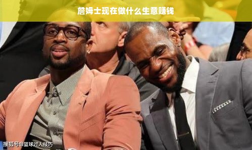 詹姆士现在做什么生意赚钱