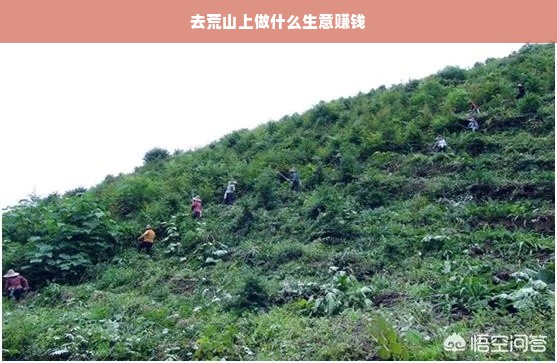去荒山上做什么生意赚钱