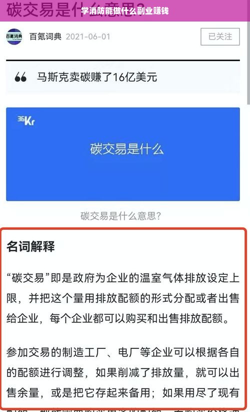 浙江母婴纸尿裤品牌深度解析