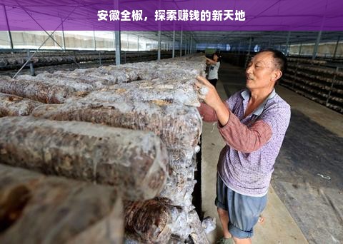 盘点囤粮必备！这些冰箱品牌让你安心囤货