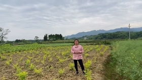 农村做什么平台好赚钱多