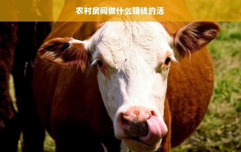 学生党化妆品品牌推荐指南
