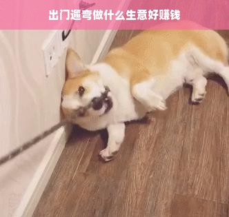 出门遛弯做什么生意好赚钱