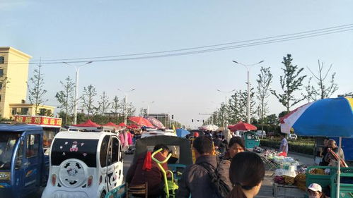 城市创业机会多，农村人才探索多元生意路径