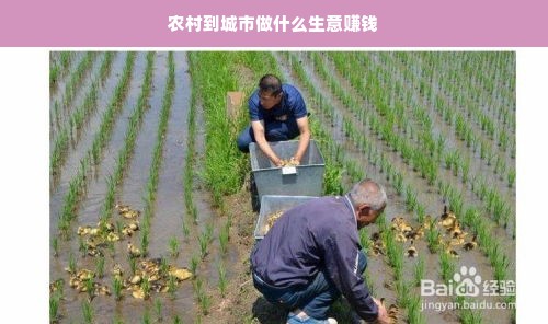 农村到城市做什么生意赚钱