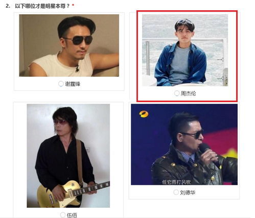 白酒行业毛利润排行榜，揭秘哪些品牌赚得盆满钵满