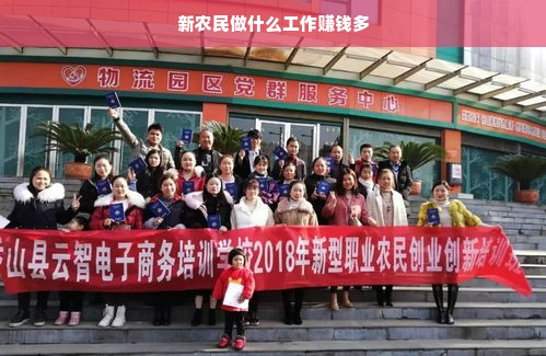 新农民做什么工作赚钱多